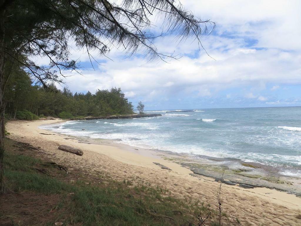 Elegant Turtle Bay Condo Kahuku Exterior foto